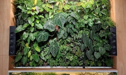Green Wall Hydrophonics