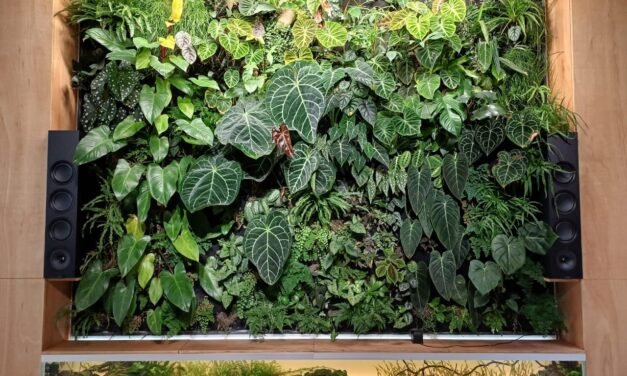 Green Wall Hydrophonics