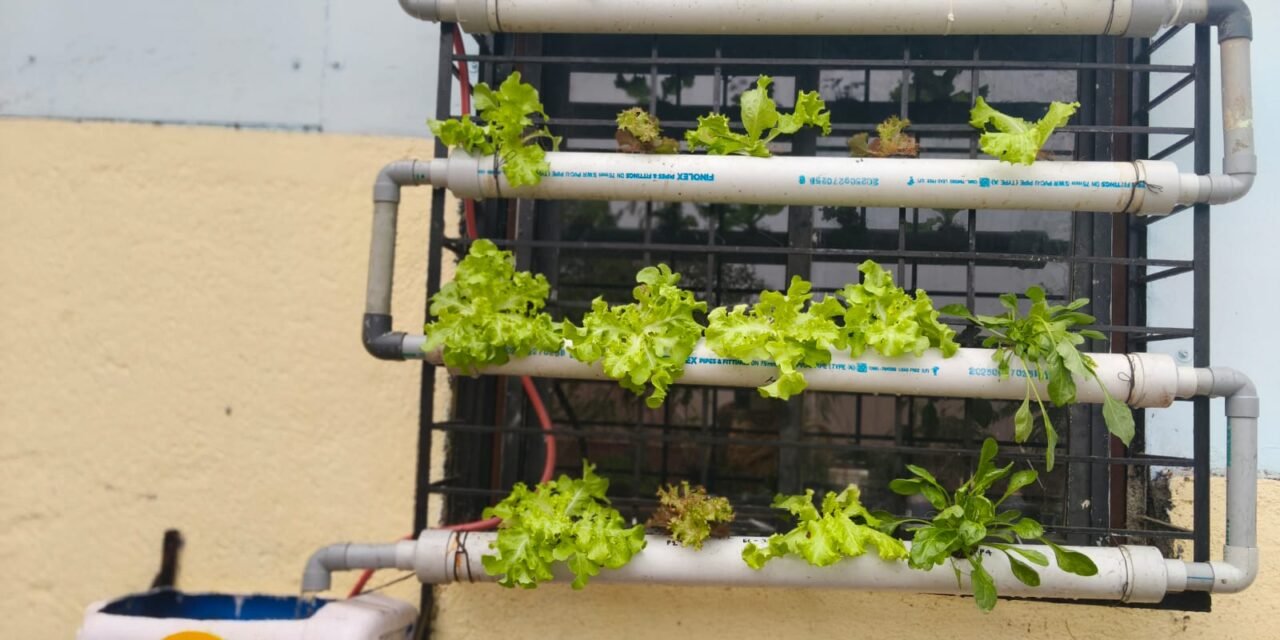 Green Wall Hydrophonics