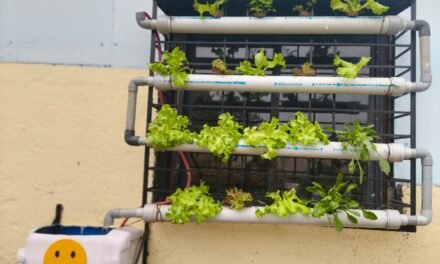 Green Wall Hydrophonics