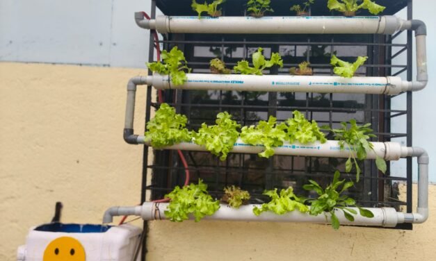 Green Wall Hydrophonics