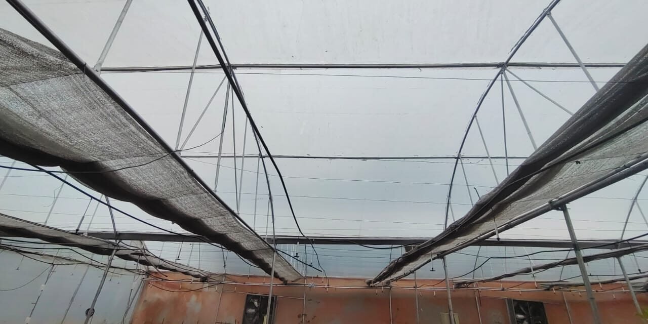 Polyhouse : Data collection and Automation