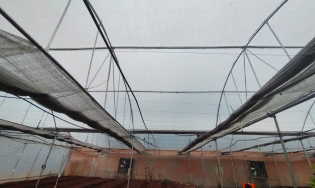 Polyhouse : Data collection and Automation