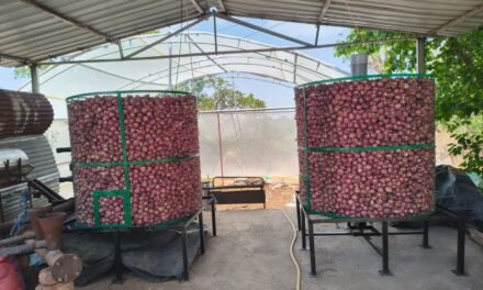 Onion Storage Unit Monitoring