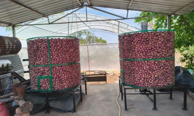 Onion Storage Unit Monitoring