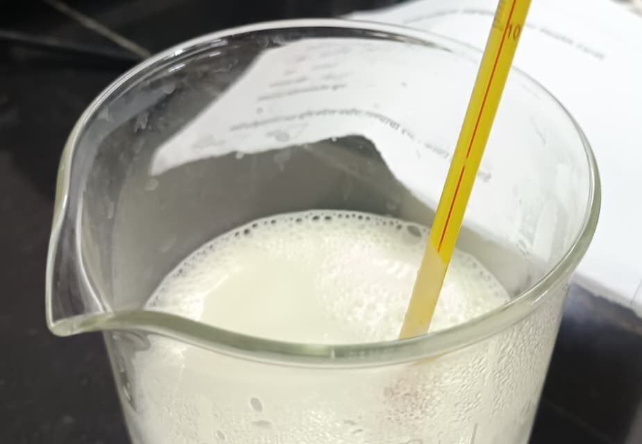 Role of Bacteria in curd