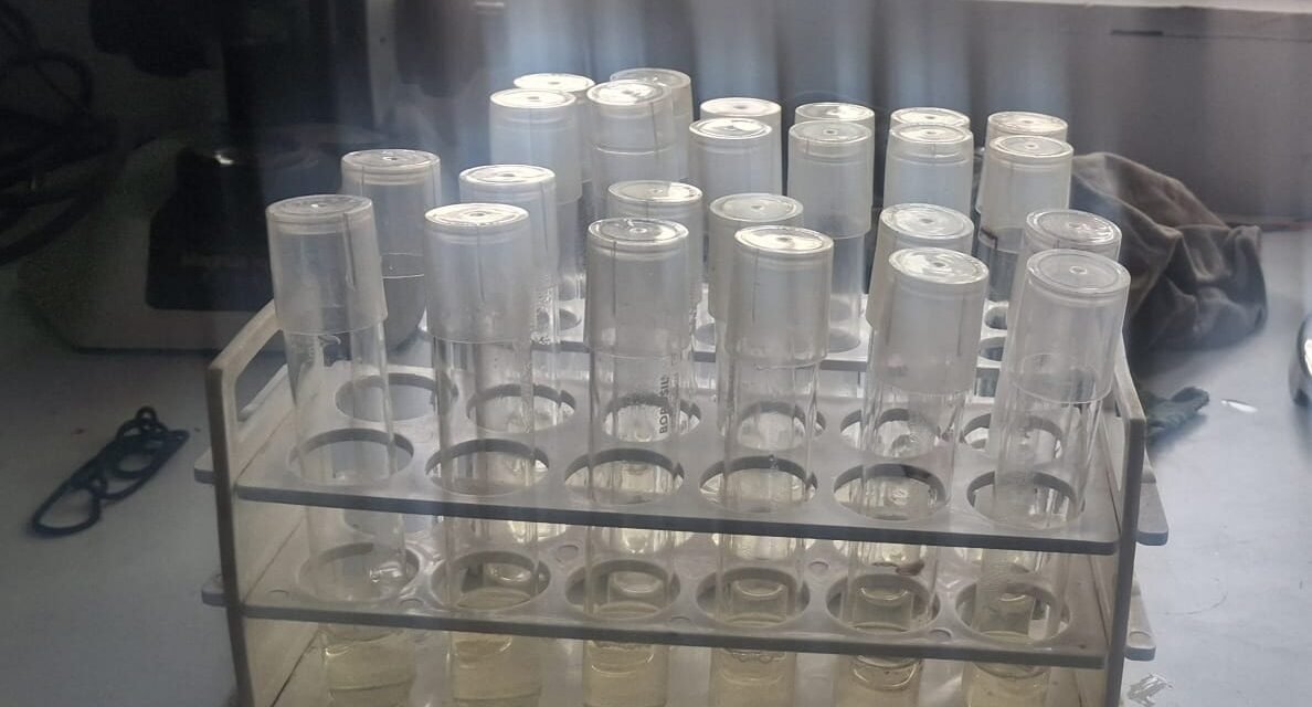 Plant Tissue Culture