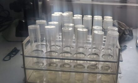 Plant Tissue Culture