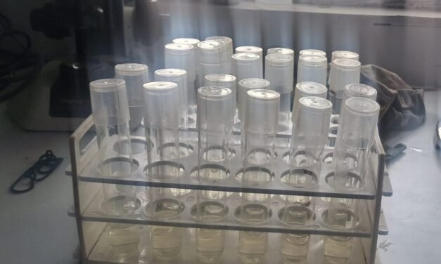 Plant Tissue Culture