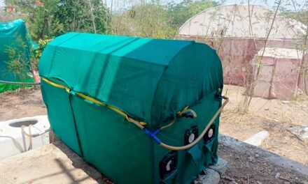 Small Polyhouse Climate Control Structure