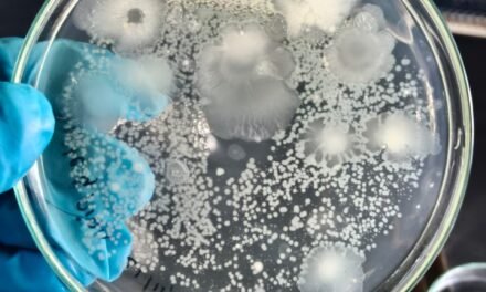 Isolation of Bacteria and Fungi from a Decomposed Sample
