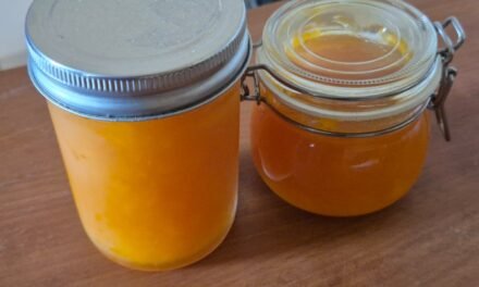 Mango jam : balancing innovation and health