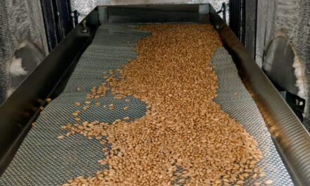 Optimizing Grain Flow in Vibro Thermal Disinfector (VTD)