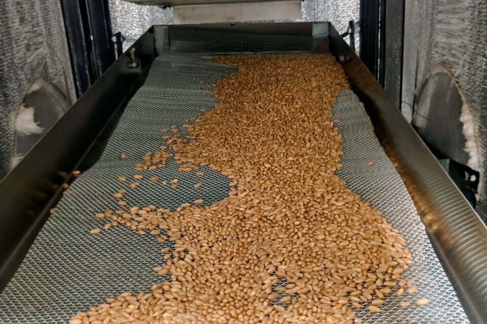 Optimizing Grain Flow in Vibro Thermal Disinfector (VTD) Using Iron Mesh