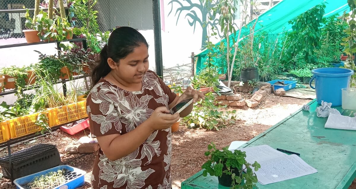Identification of plant Species :