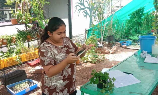 Identification of plant Species :