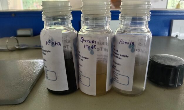 H2S Water Testing Kit