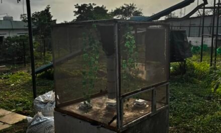 Development of a Breeding chamber of Black Soldier Fly under Natural Light.