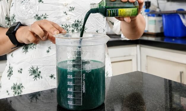 Spirulina  – Mother Culture Multiplication and Cultivation