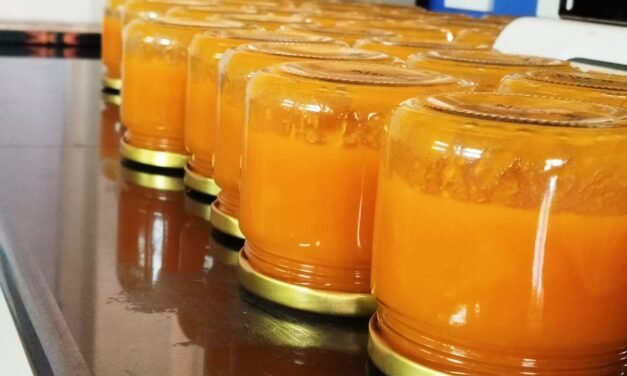 MANGO JAM