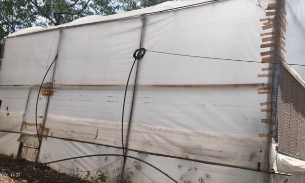 Polyhouse Microclimate Data Collection and Analysis