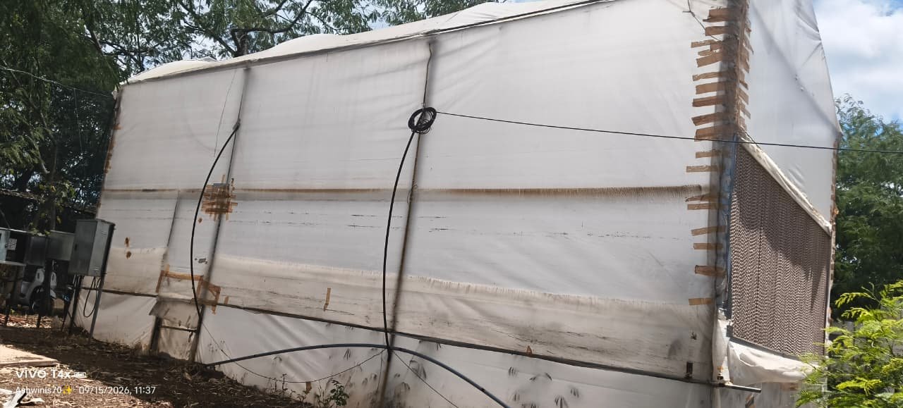 Polyhouse Microclimate Data Collection and Analysis