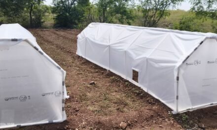 Tunnel Microclimate Monitoring &Data Analysis