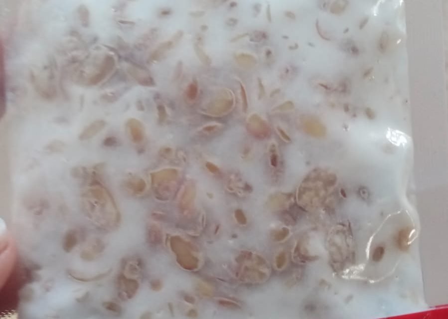 Soyabean